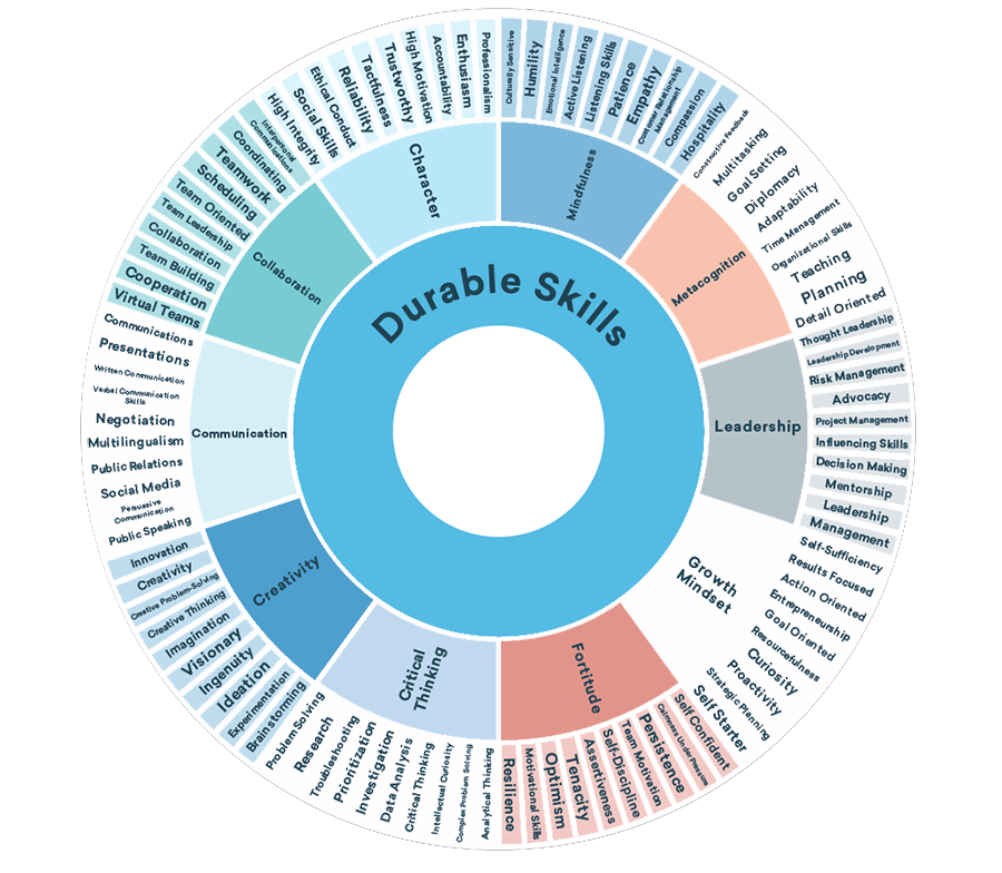 Durable Skills Advantage Framework